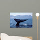 Tail Fluke Blue Whale Wall Decal Design 1