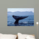 Tail Fluke Blue Whale Wall Decal Design 1