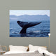 Tail Fluke Blue Whale Wall Decal Design 1
