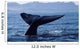 Tail Fluke Blue Whale Wall Decal Design 1