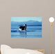 Male Killer Whale Breaching Wall Decal