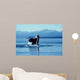 Male Killer Whale Breaching Wall Decal