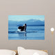 Male Killer Whale Breaching Wall Decal