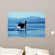Male Killer Whale Breaching Wall Decal