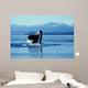 Male Killer Whale Breaching Wall Decal