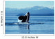 Male Killer Whale Breaching Wall Decal