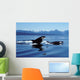 Killer Whales Breaching Icy Wall Decal