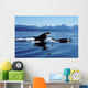 Killer Whales Breaching Icy Wall Decal