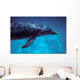 Atlantic Spotted Dolphin Grand Wall Decal Design 4