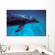 Atlantic Spotted Dolphin Grand Wall Decal Design 4