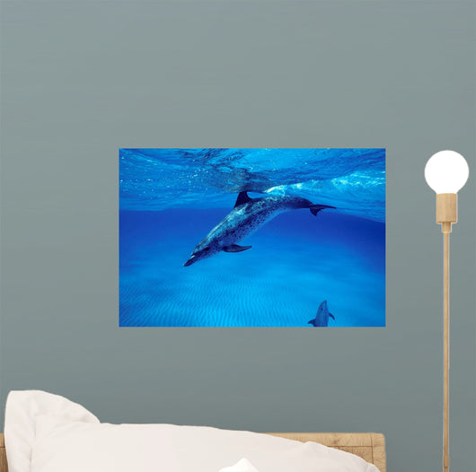 Atlantic Spotted Dolphin Grand Wall Decal Design 3