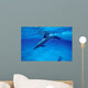 Atlantic Spotted Dolphin Grand Wall Decal Design 3
