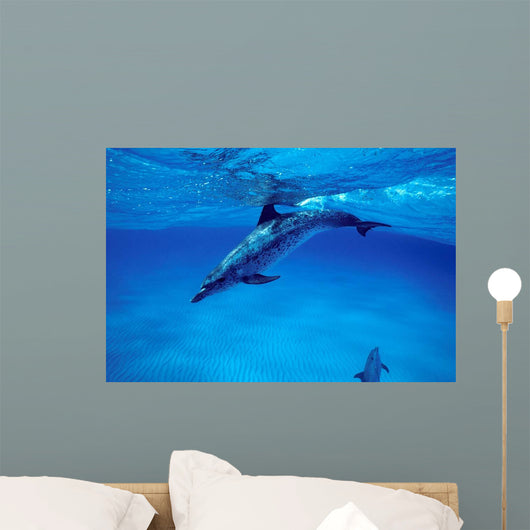 Atlantic Spotted Dolphin Grand Wall Decal Design 3
