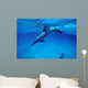 Atlantic Spotted Dolphin Grand Wall Decal Design 3
