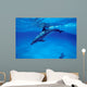 Atlantic Spotted Dolphin Grand Wall Decal Design 3