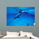 Atlantic Spotted Dolphin Grand Wall Decal Design 3