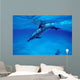 Atlantic Spotted Dolphin Grand Wall Decal Design 3