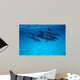Atlantic Spotted Dolphin Grand Wall Decal Design 2