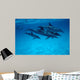 Atlantic Spotted Dolphin Grand Wall Decal Design 2