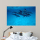 Atlantic Spotted Dolphin Grand Wall Decal Design 2