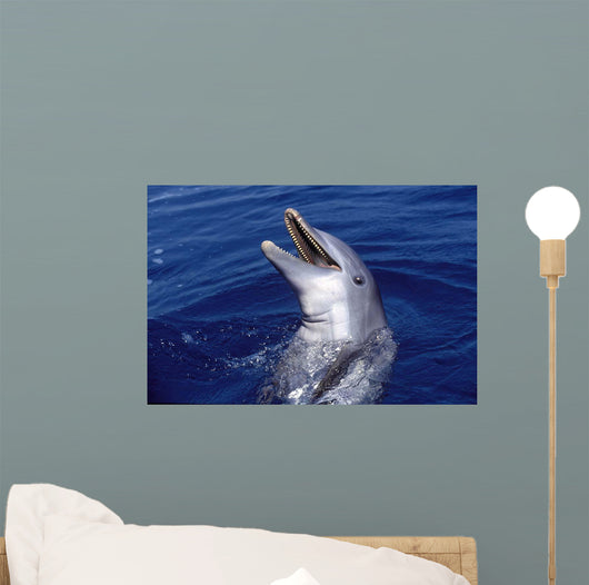 Bottlenose Dolphin Roatan Bay Wall Decal