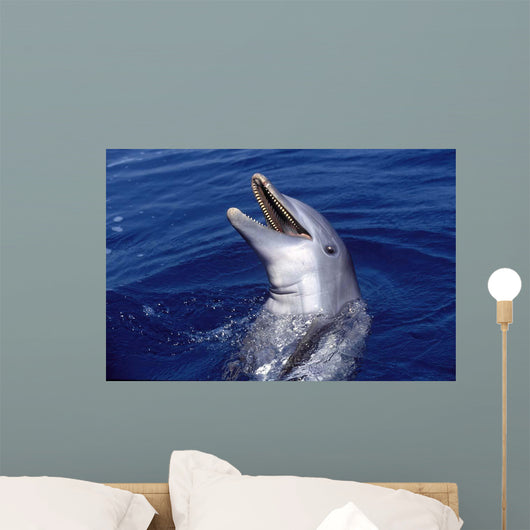 Bottlenose Dolphin Roatan Bay Wall Decal