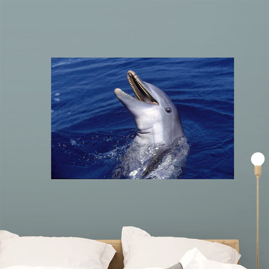 Bottlenose Dolphin Roatan Bay Wall Decal