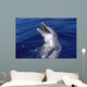 Bottlenose Dolphin Roatan Bay Wall Decal