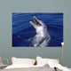 Bottlenose Dolphin Roatan Bay Wall Decal