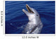 Bottlenose Dolphin Roatan Bay Wall Decal