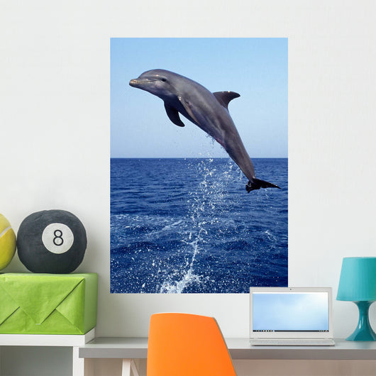 Bottlenose Dolphin Caribbean off Wall Decal Design 8