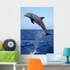 Bottlenose Dolphin Caribbean off Wall Decal Design 8
