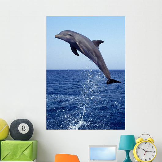Bottlenose Dolphin Caribbean off Wall Decal Design 8