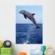 Bottlenose Dolphin Caribbean off Wall Decal Design 8
