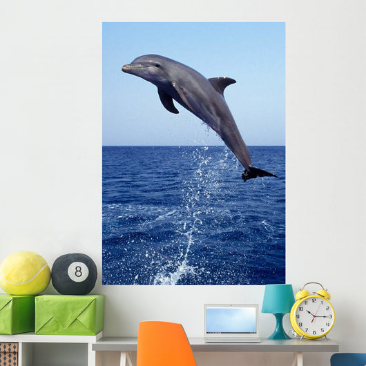 Bottlenose Dolphin Caribbean off Wall Decal Design 8