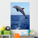 Bottlenose Dolphin Caribbean off Wall Decal Design 8