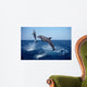 Bottlenose Dolphin Caribbean off Wall Decal Design 7