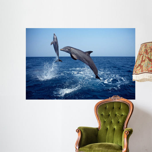 Bottlenose Dolphin Caribbean off Wall Decal Design 7