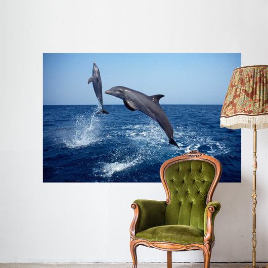 Bottlenose Dolphin Caribbean off Wall Decal Design 7