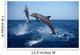 Bottlenose Dolphin Caribbean off Wall Decal Design 7