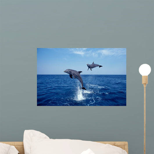 Bottlenose Dolphin Caribbean off Wall Decal Design 6
