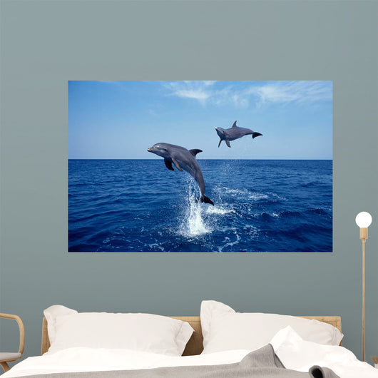 Bottlenose Dolphin Caribbean off Wall Decal Design 6