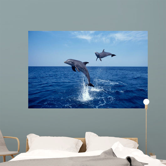 Bottlenose Dolphin Caribbean off Wall Decal Design 6