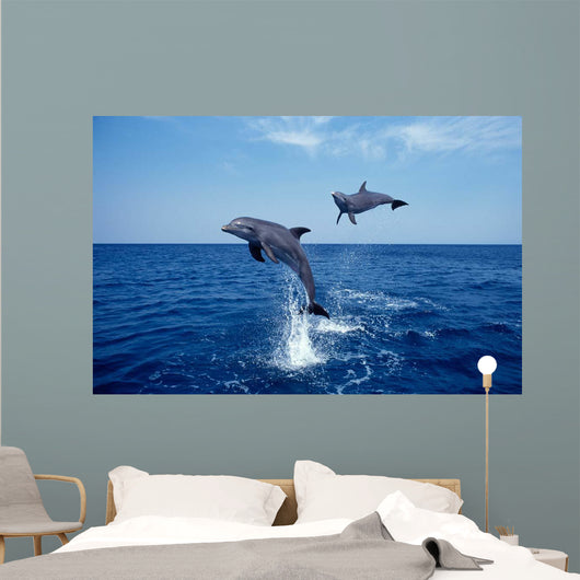 Bottlenose Dolphin Caribbean off Wall Decal Design 6
