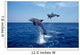 Bottlenose Dolphin Caribbean off Wall Decal Design 6