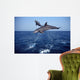 Bottlenose Dolphin Caribbean off Wall Decal Design 5