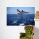 Bottlenose Dolphin Caribbean off Wall Decal Design 5