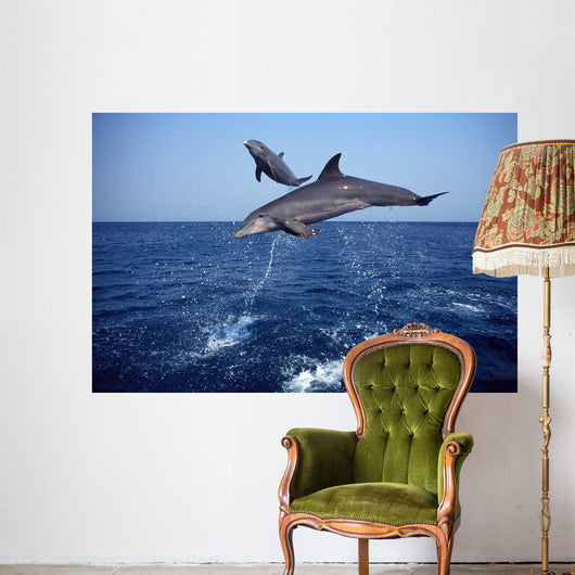 Bottlenose Dolphin Caribbean off Wall Decal Design 5