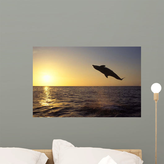 Bottlenose Dolphin Caribbean off Wall Decal Design 4