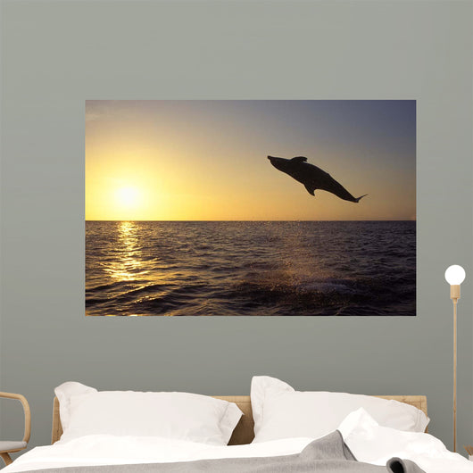 Bottlenose Dolphin Caribbean off Wall Decal Design 4